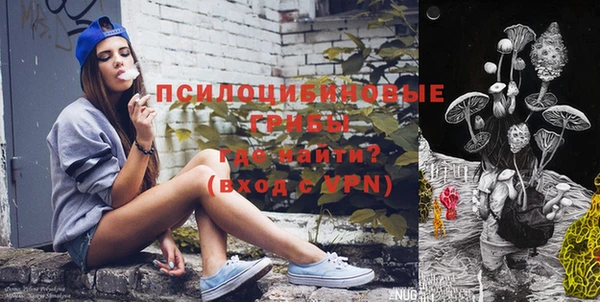 крисы Бородино