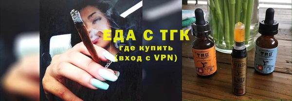 крисы Бородино